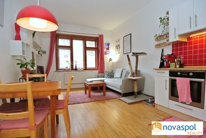 Prostorný 3+kk, 75 m2 + 2 m2 balkon, V Horkách, Praha 4 Nusle. - Fotka 7