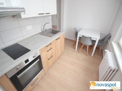 Kompletní rekonstrukce: 1+1, 40m2, nezařízeno, Varšavská ulice, světlý a tichý byt - Fotka 10