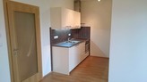 Od listopadu: 1+KK 30 m2 + balkon 4m2, sklepní kóje 4 m2, Prušánecká, Praha Zličín.